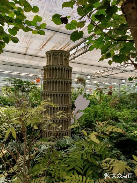 南宫五洲植物乐园图片