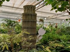 -南宫五洲植物乐园