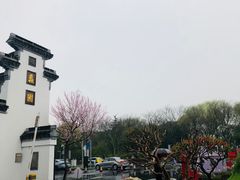 -无锡蠡湖国家湿地公园-蠡园