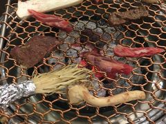 -莲洞本家