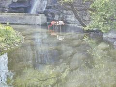 -沈阳鸟岛