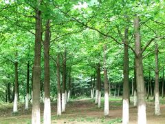 -白马涧龙池景区