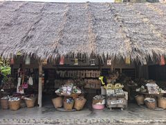 -大象粑粑造纸公园