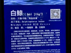-泉城欧乐堡海洋极地世界