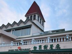 -青岛海景花园大酒店·白果树餐厅青岛菜