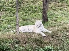 -石家庄市动物园