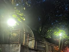 -巴倒烫陆派重庆火锅(南山店)