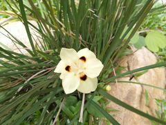 -华南国家植物园-售票处