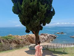 -小麦岛公园