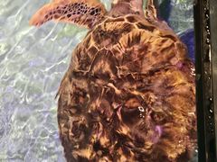 -哈尔滨波塞冬海底世界