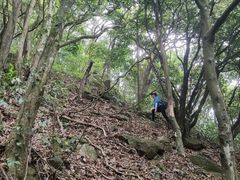 -梧桐山风景名胜区