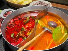 -滇牛云南火锅(桂林路店)