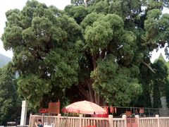 -四门塔风景区