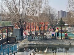 -北京鹿世界主题园