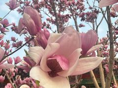 -丰台花园