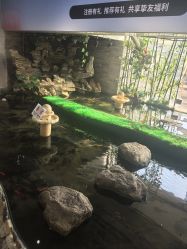 -武汉五洲整形外科医院