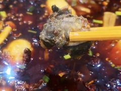 乌鸡-黑竹香鸡(营和巷店)