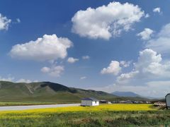 -青海湖国家重点风景名胜区