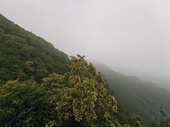 -妙峰山风景名胜区