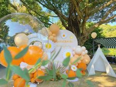 -InParty·游艇求婚策划生日派对布置(世纪大道店)