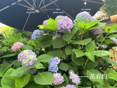 -听香·678茶铺(猛追湾店)