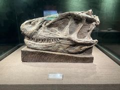 -自贡恐龙博物馆