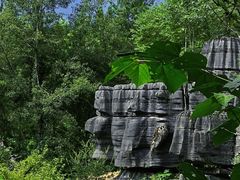 -梭布垭石林景区