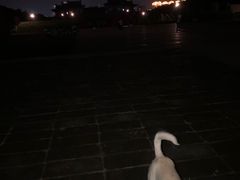 -北宋皇陵
