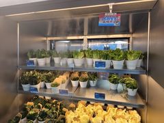 -海底捞大排档火锅(打浦路店)