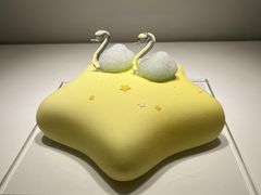 -BLACKSWAN黑天鹅(新希望店)