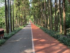 -上海长兴岛郊野公园