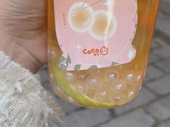 -CoCo都可(惠山古镇店)