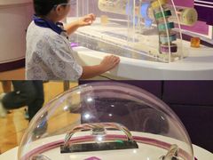 -陕西科学技术馆
