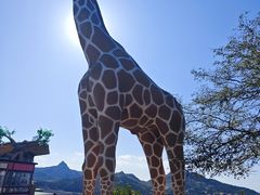 -西霞口神雕山野生动物世界