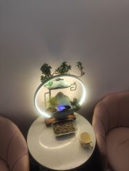 -苗塑堂减肥艾灸