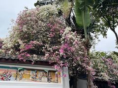 -深圳国际园林花卉博览园