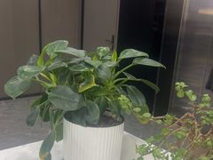 -常熟玉蕙口腔医院