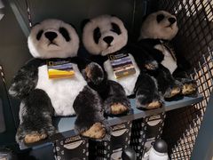 -珠海横琴国家地理探险家中心(创新方)