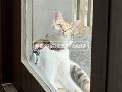 -Again Coffee Roaster(香蜜湖店)