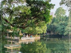 -晓港公园