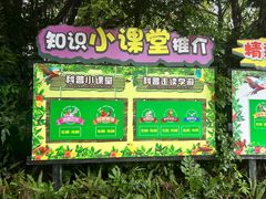 -广州长隆飞鸟乐园