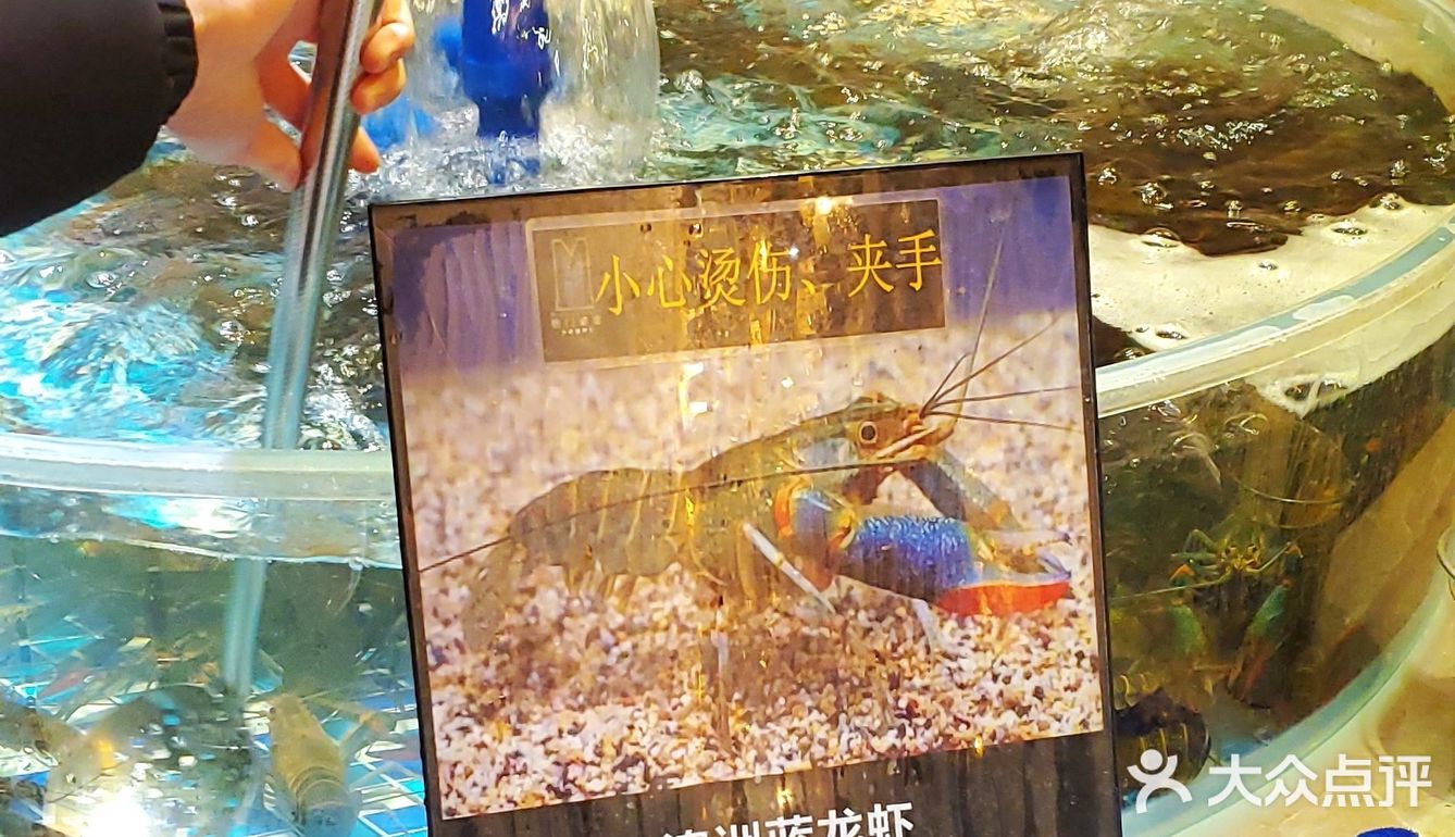 捞上来，吃下去！这里的海鲜管够！