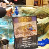 捞上来，吃下去！这里的海鲜管够！