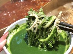 -小龙坎火锅(总店)