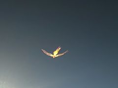 -第35届青岛国际啤酒节