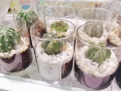 -KKV(上海月星环球港主力店)