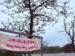 -趣多多宠物公园·宠物训犬学校·宠物寄养