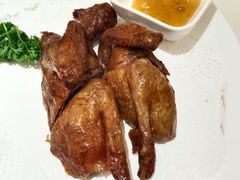 鸽子-光明邨大酒家(淮海路店)