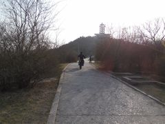 景点-甘井子公园