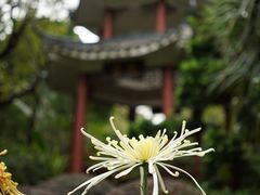 -广州文化公园